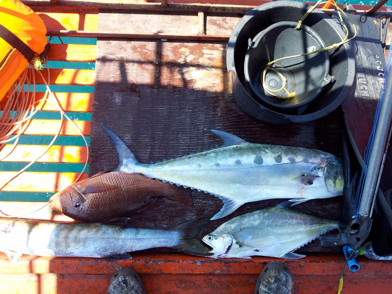 Рыбалка в Сиамском заливе