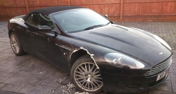 Собака съела Aston Martin DB9  