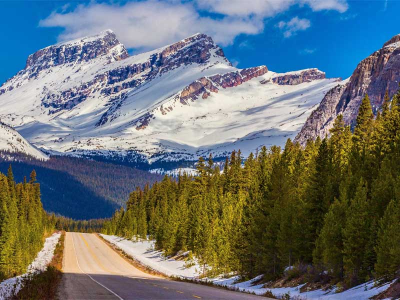Американец, проезжавший через Канаду на Аляску, оштрафован на 569 000 долларов за остановку на экскурсию